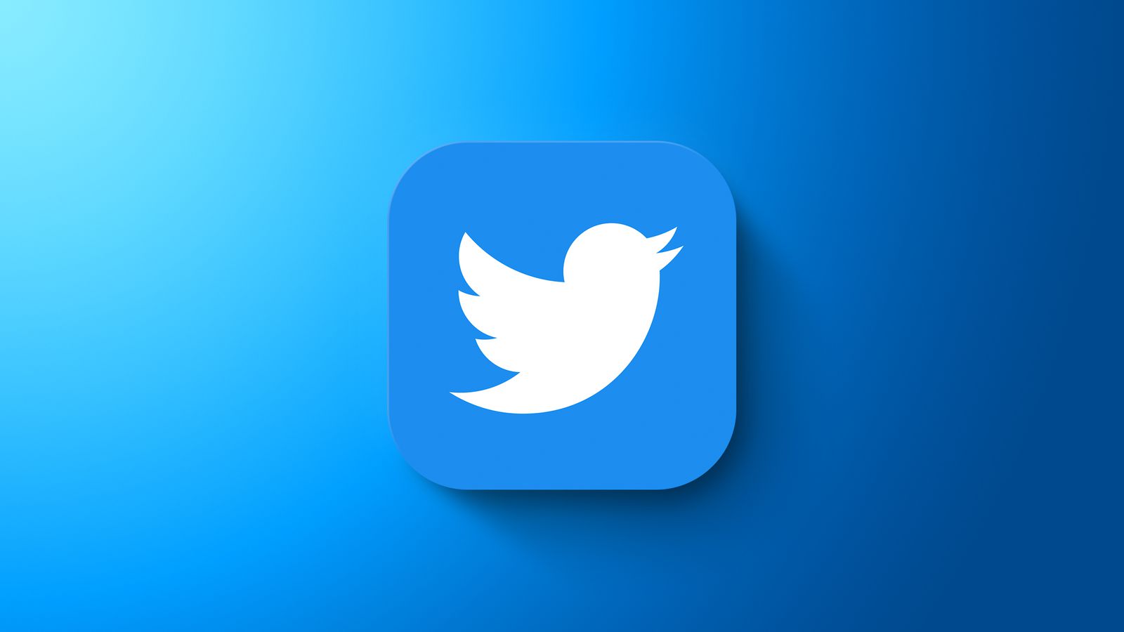 Twitter: A social media platform that connects the world.